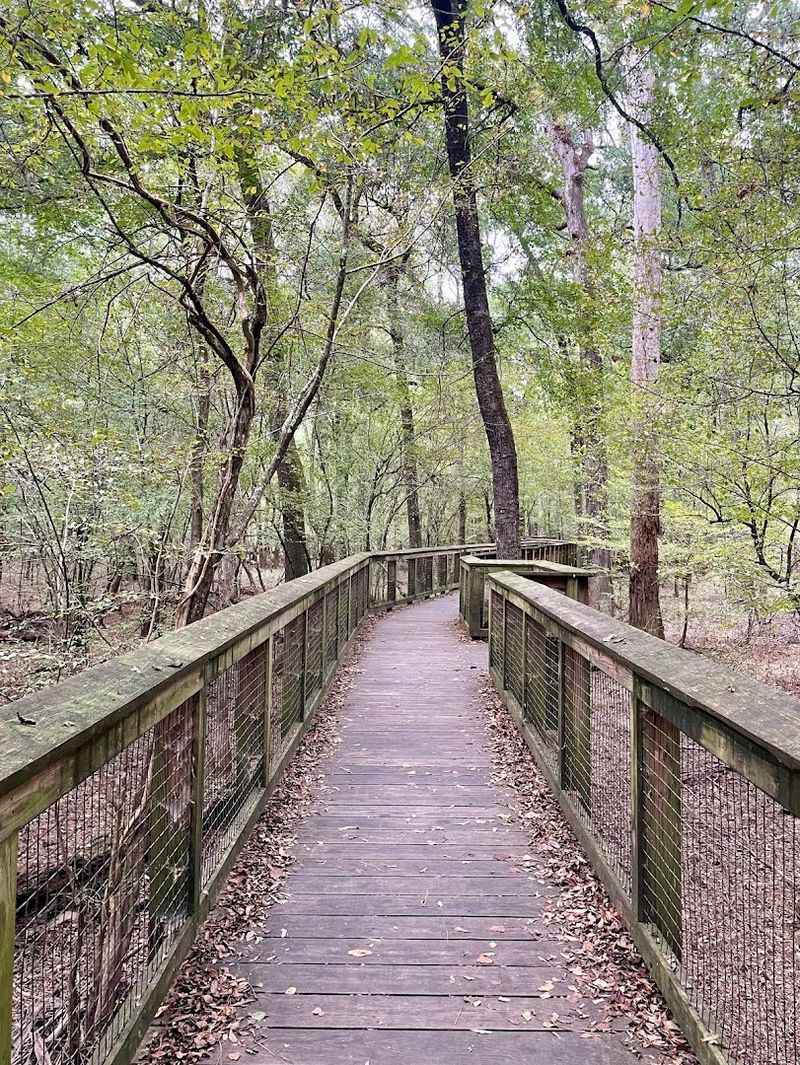 Boardwalk Loop Trail At Congaree National Park