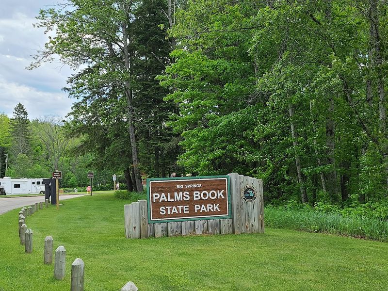 Practicalities: Hours, Passes, And Timing