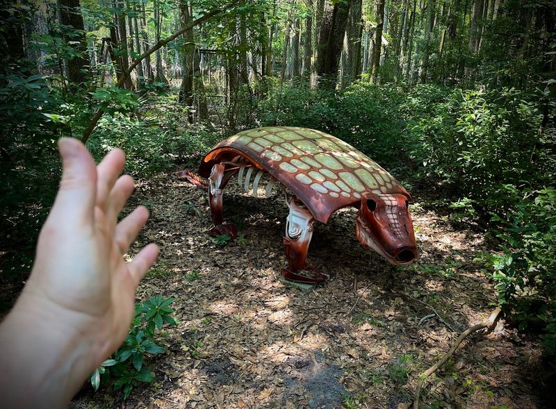 Hands-On Learning Experiences