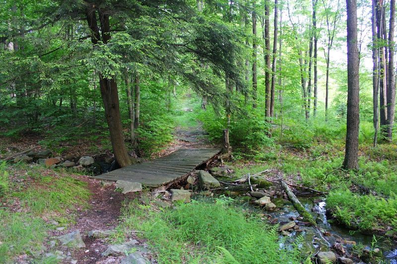 Beaver Dam Trail, Parker Dam State Park