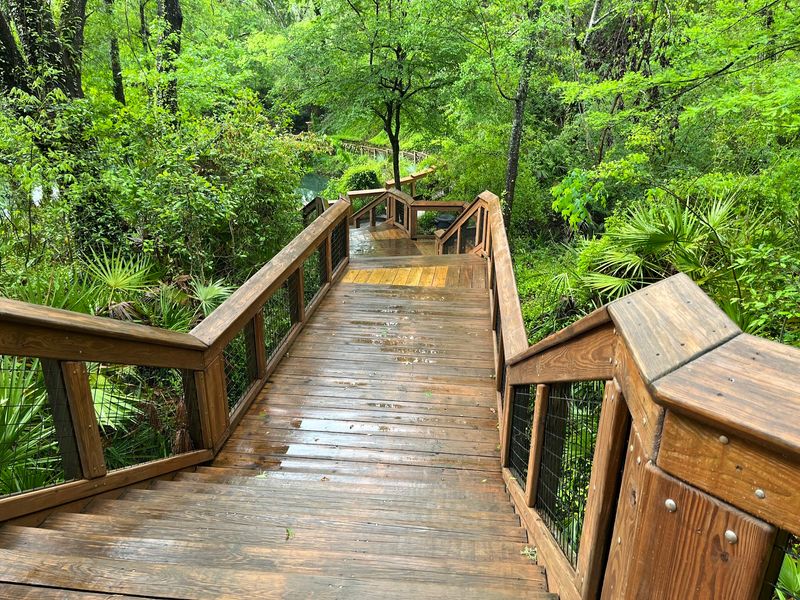 Boardwalks And A Short Trail To The River