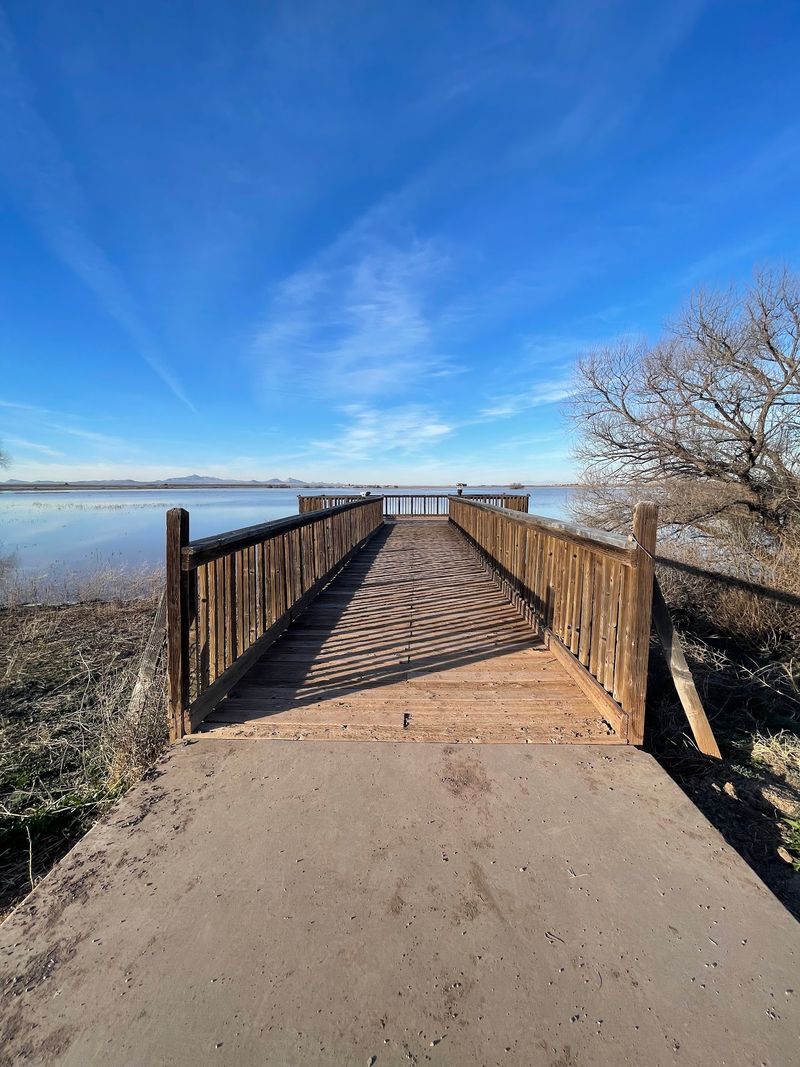Boardwalks, Benches, and Easy Access