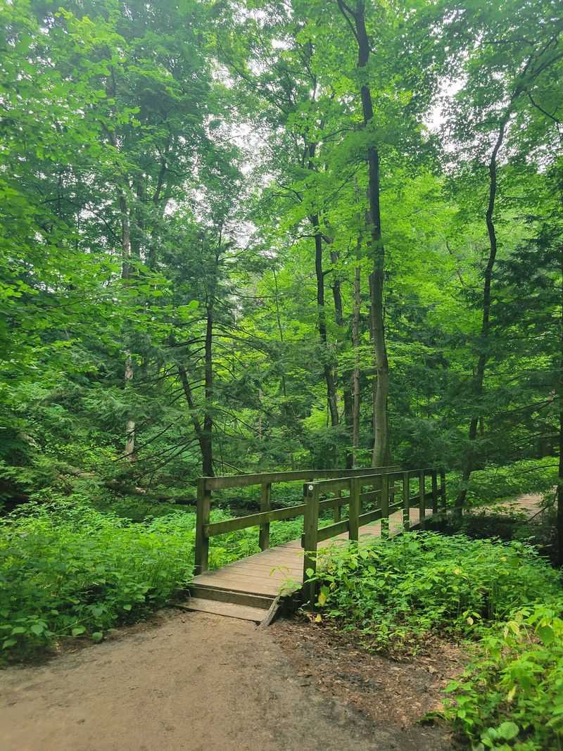 Boardwalks, Stairs, And A Creek Lead You In