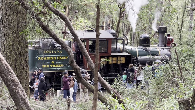 The Black Bear Sightings That Make This Trail Famous