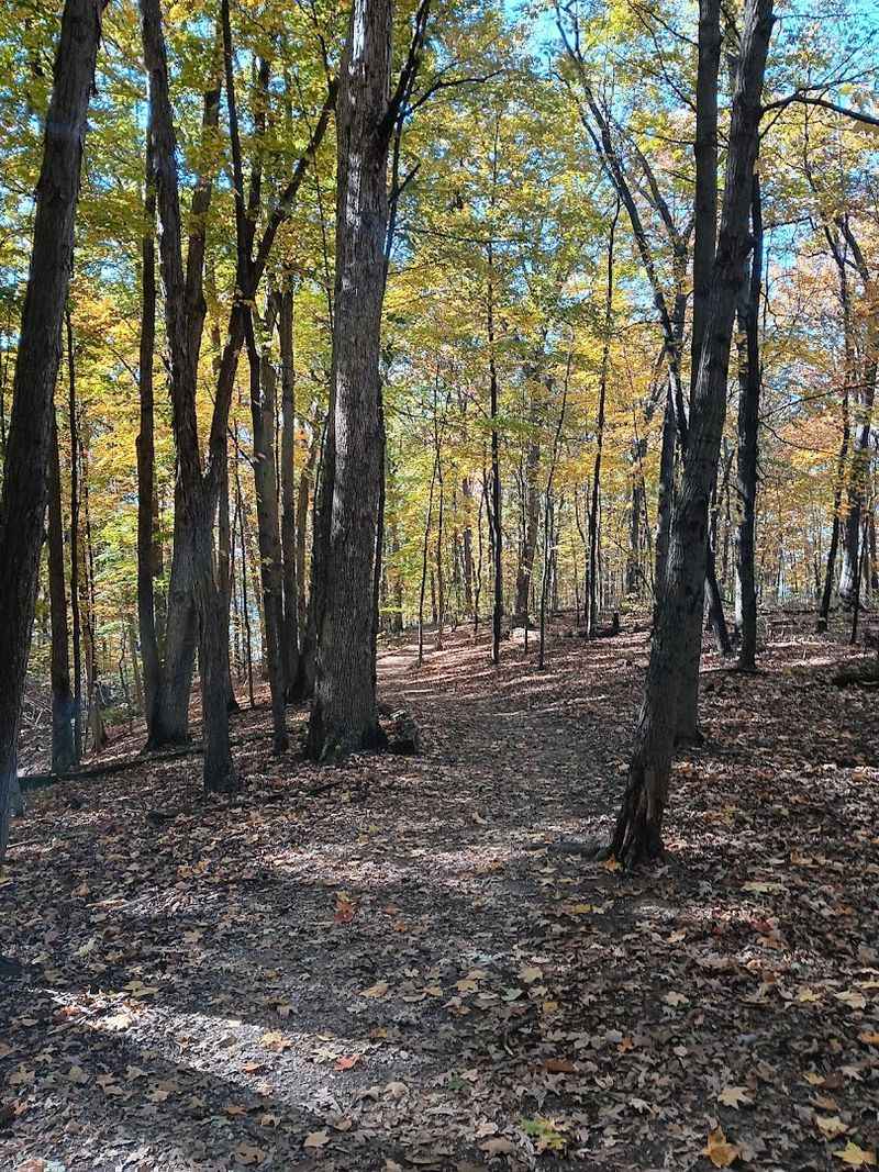 Hiking The Scenic Trails