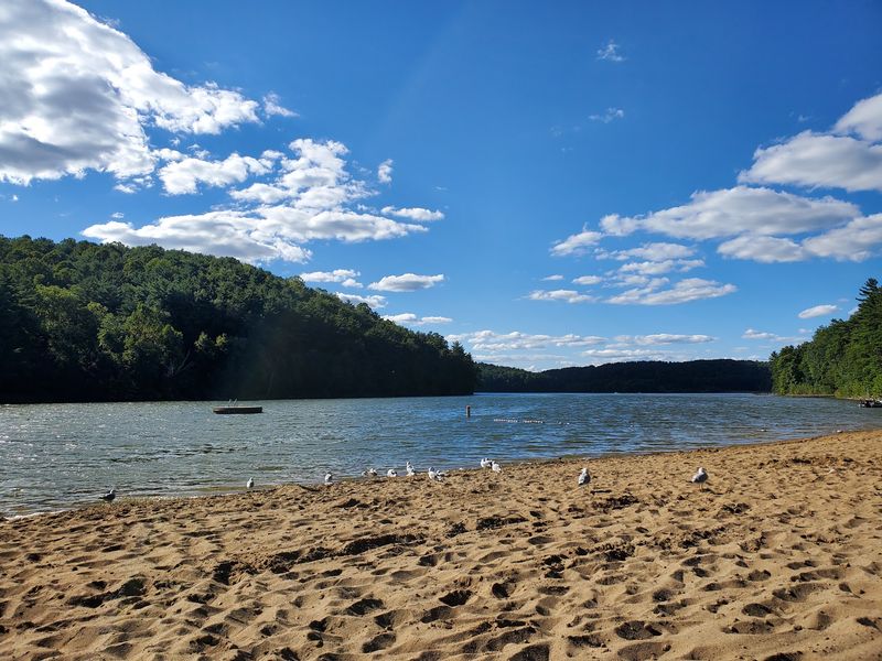 Boating, Kayaks, And Golf Cart Rentals