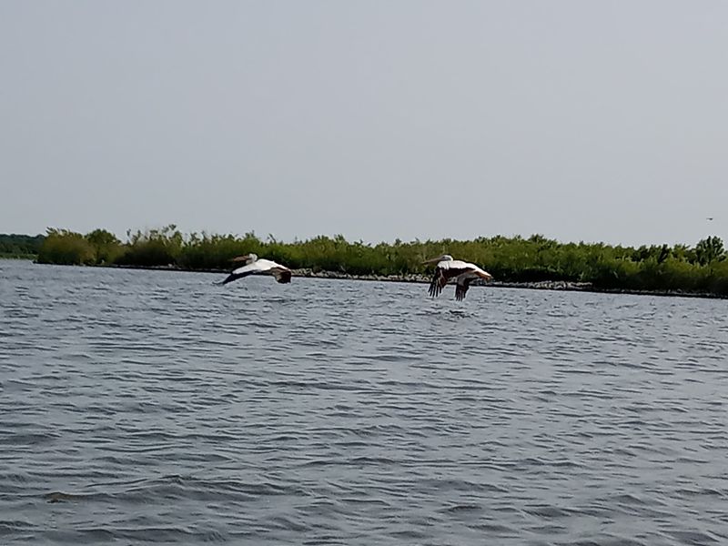 Boating Without the Speed Limits Boating Without the Speed Limits