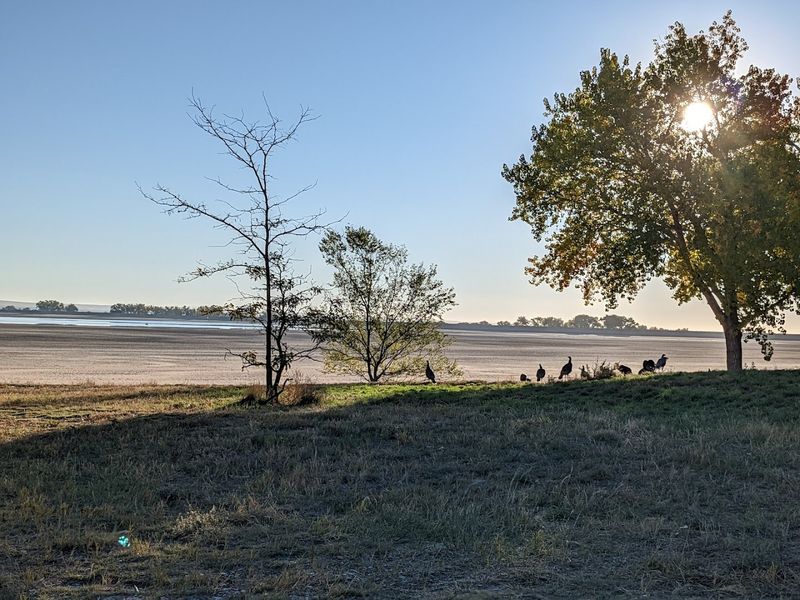Bird-Watching That Turns a Casual Walk Into Something Memorable