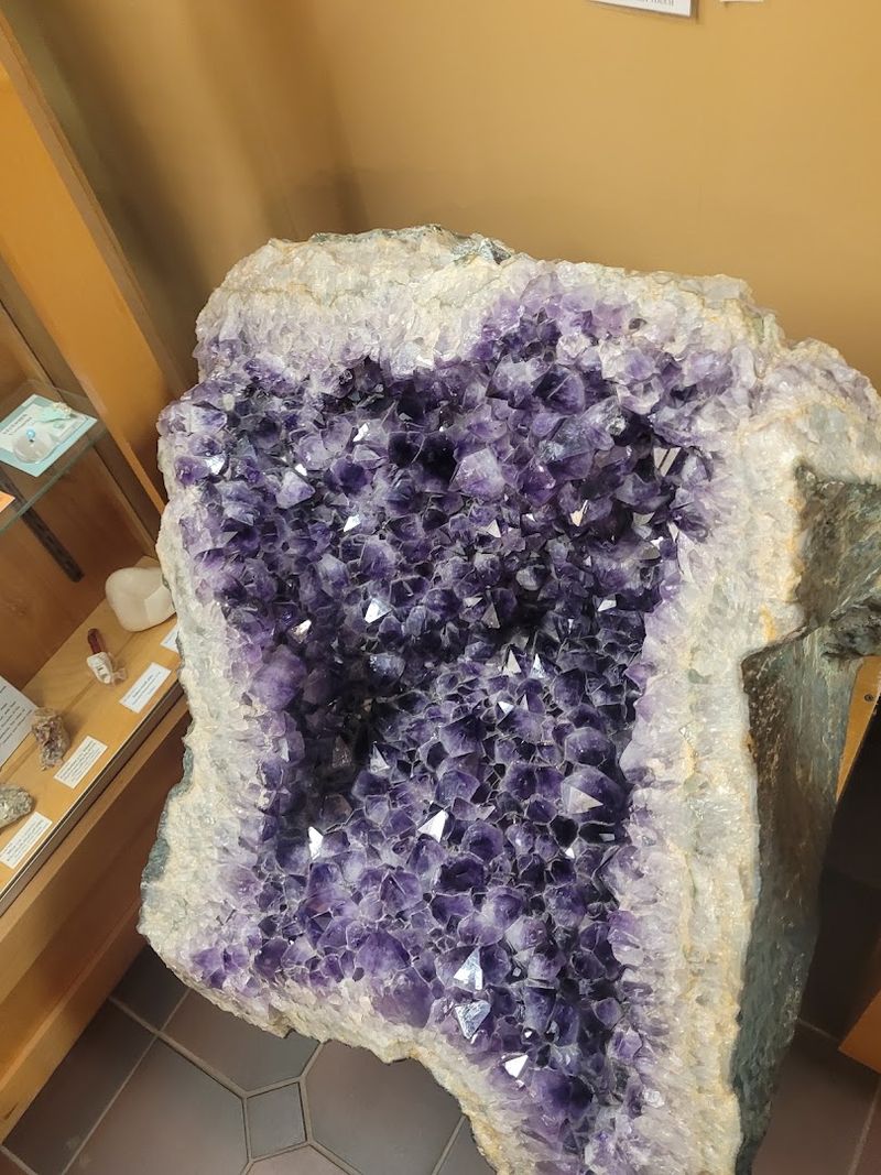 Bob Campbell Geology Museum, Clemson