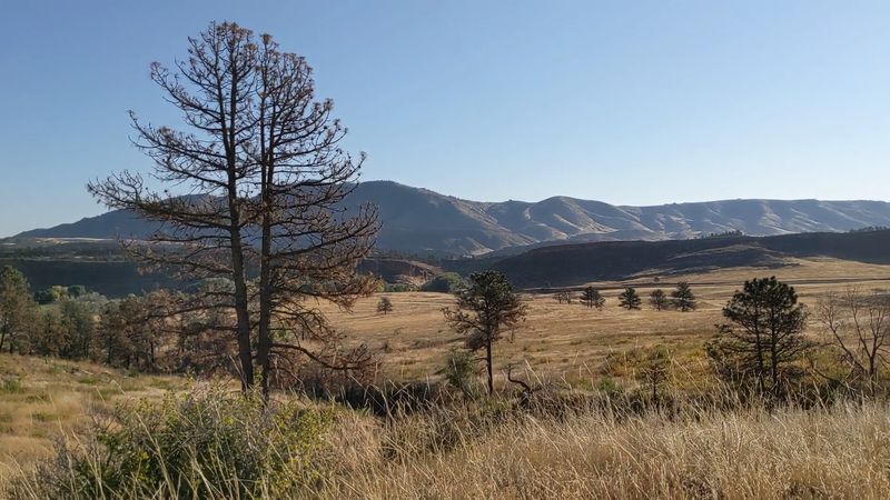 Bobcat Ridge Trails, Fort Collins/Loveland