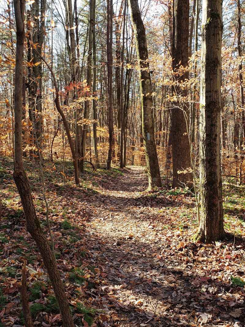 Boch Hollow State Nature Preserve, Logan Boch Hollow State Nature Preserve, Logan