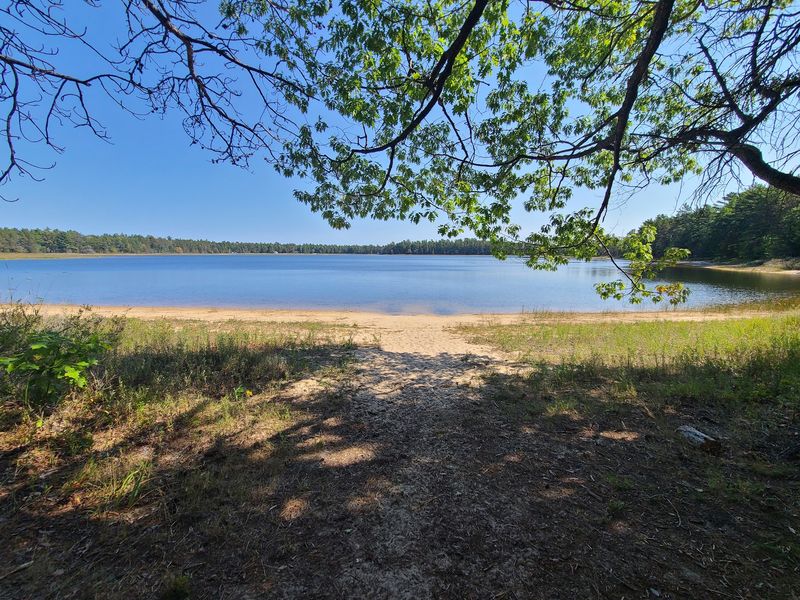 Bodi Lake State Forest Campground Bodi Lake State Forest Campground