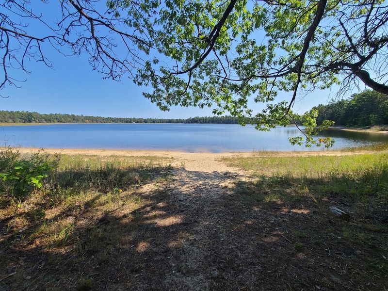 Bodi Lake State Forest Campground