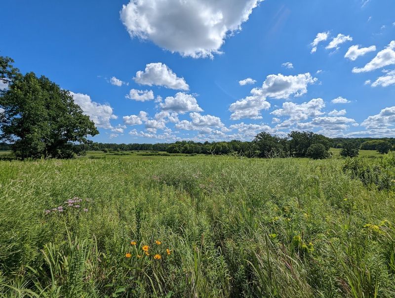 Hickory Grove Highlands and Lyons Prairie and Marsh, Cary, Illinois