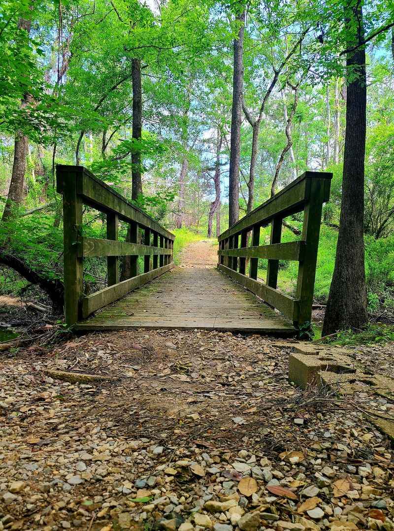Bogue Chitto State Park