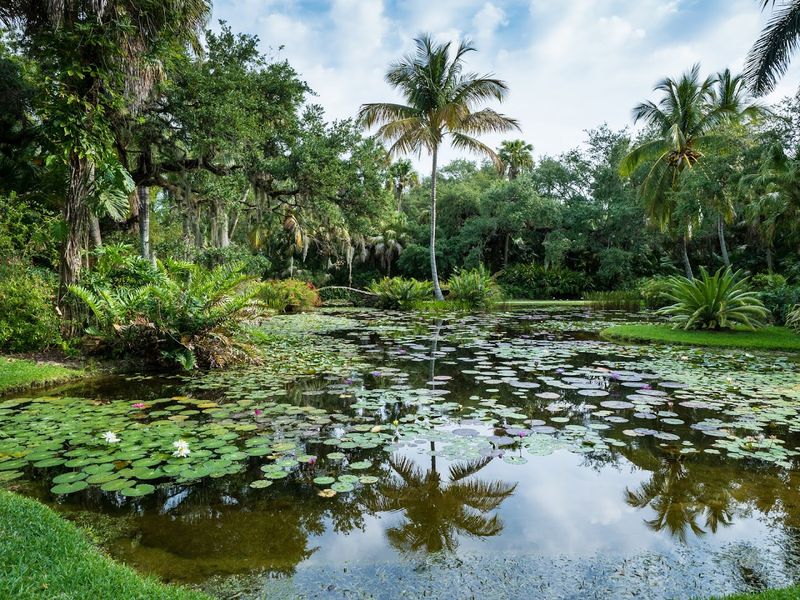 McKee Botanical Garden, Vero Beach