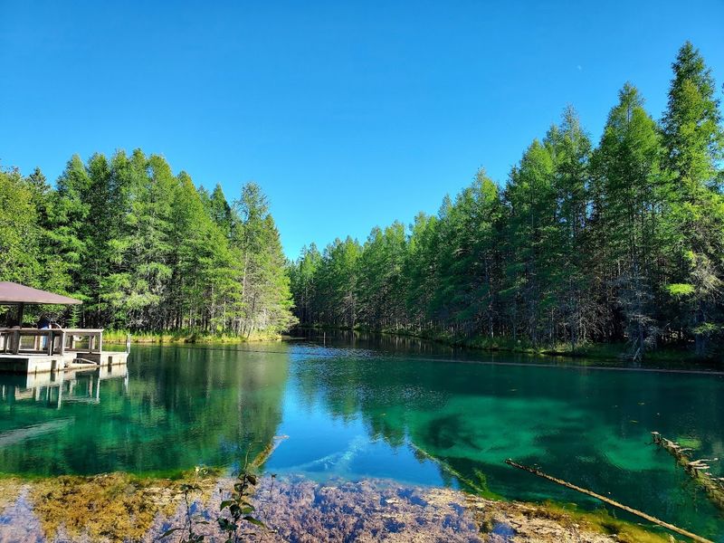 Palms Book State Park