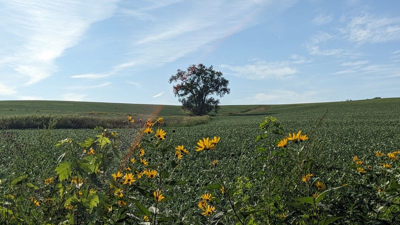 Goofy Ridge, Illinois