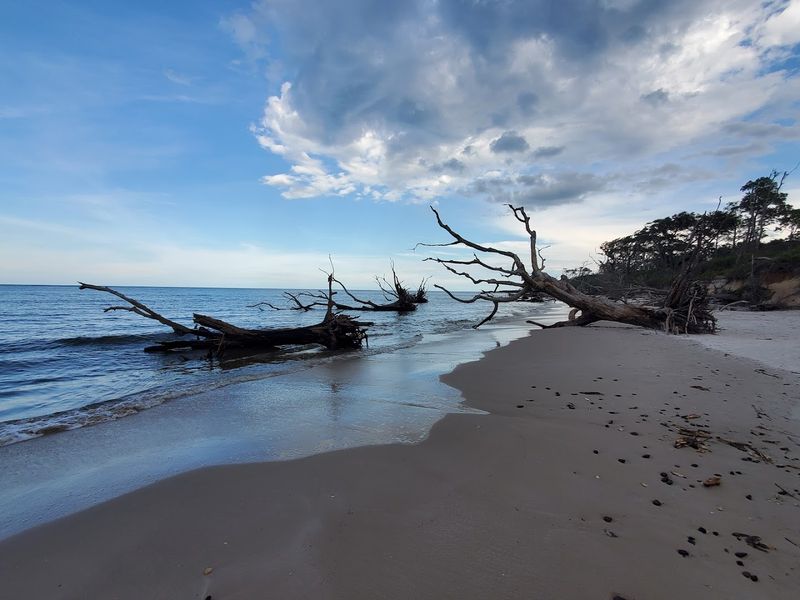 Boneyard Beach, Jacksonville