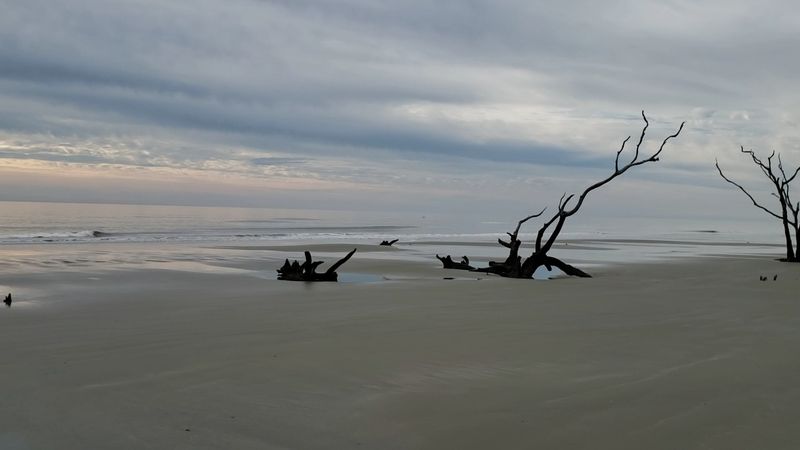 Boneyard Beach: Nature's Most Dramatic Shoreline