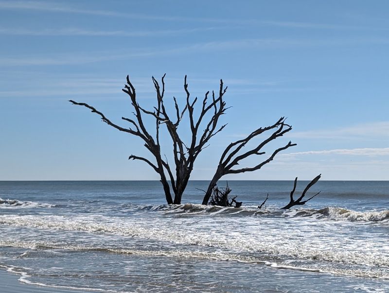 Boneyard Beach at Botany Bay, Edisto Island