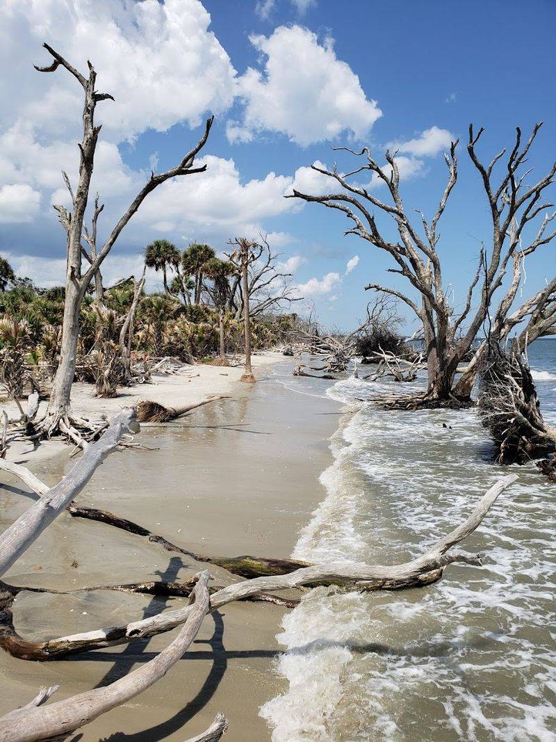 Boneyard Beach