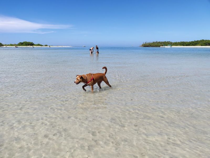 Bonita Beach Dog Park, Fort Myers Beach Bonita Beach Dog Park, Fort Myers Beach