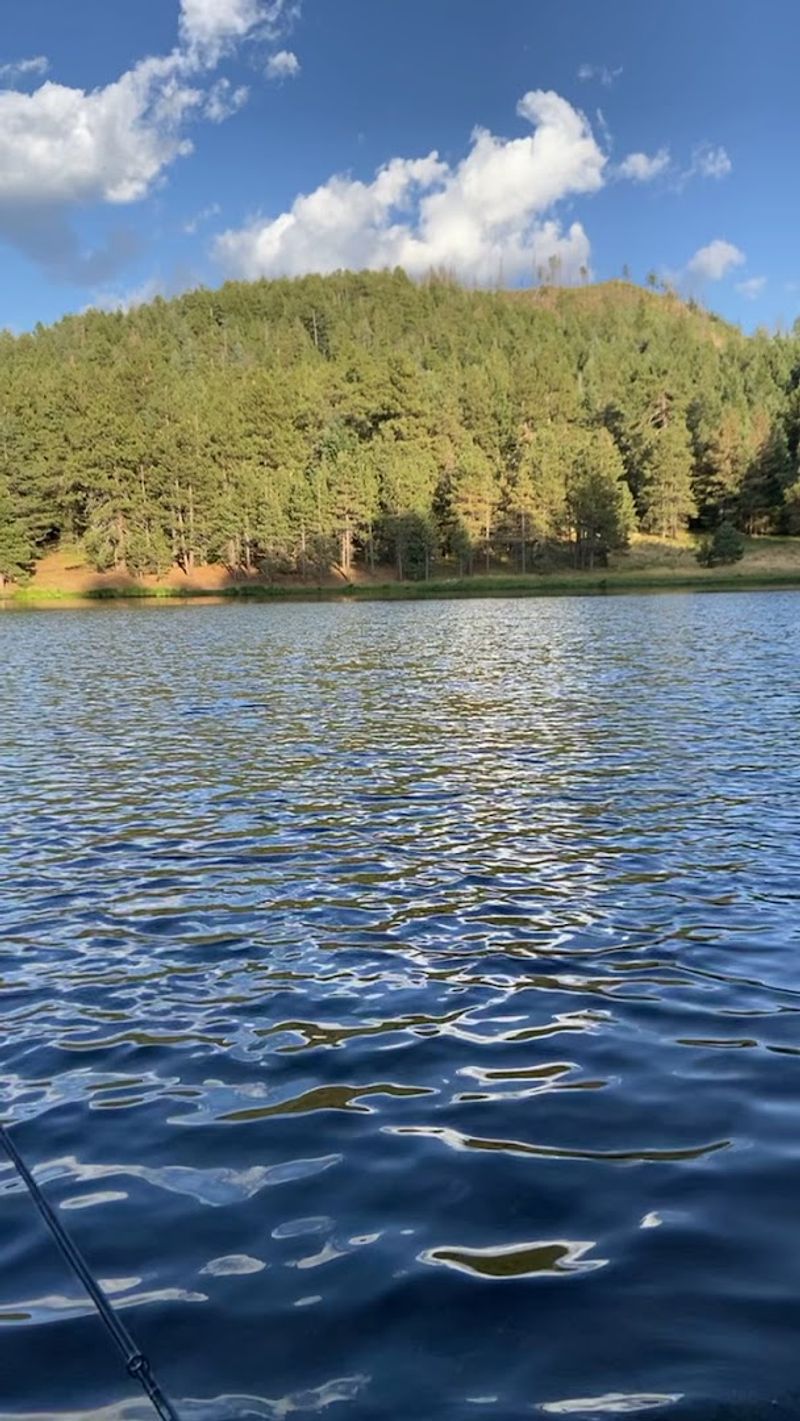Riggs Flat Campground, Mount Graham Area