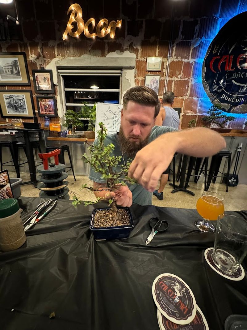 Bonsai & Brews, Various Florida Locations