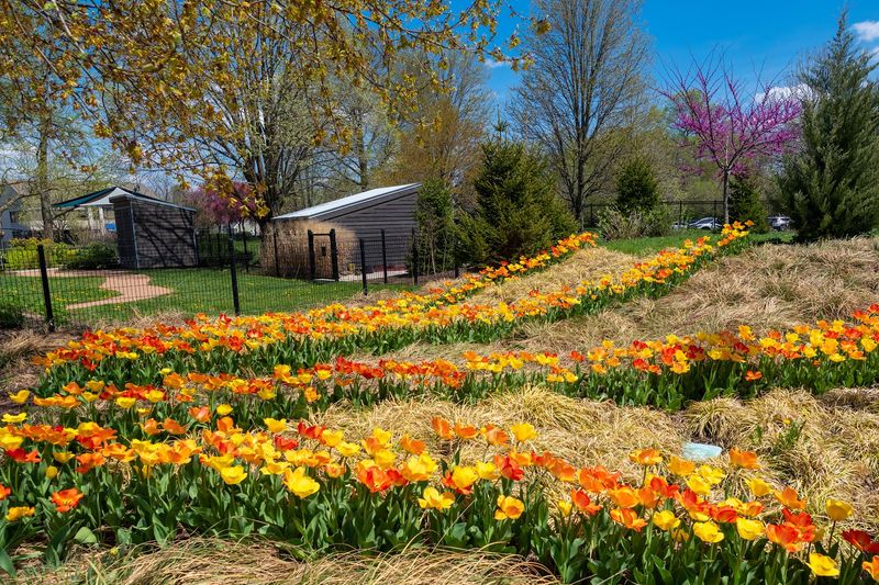 Outdoor Gardens and Grounds That Reward a Slow Walk