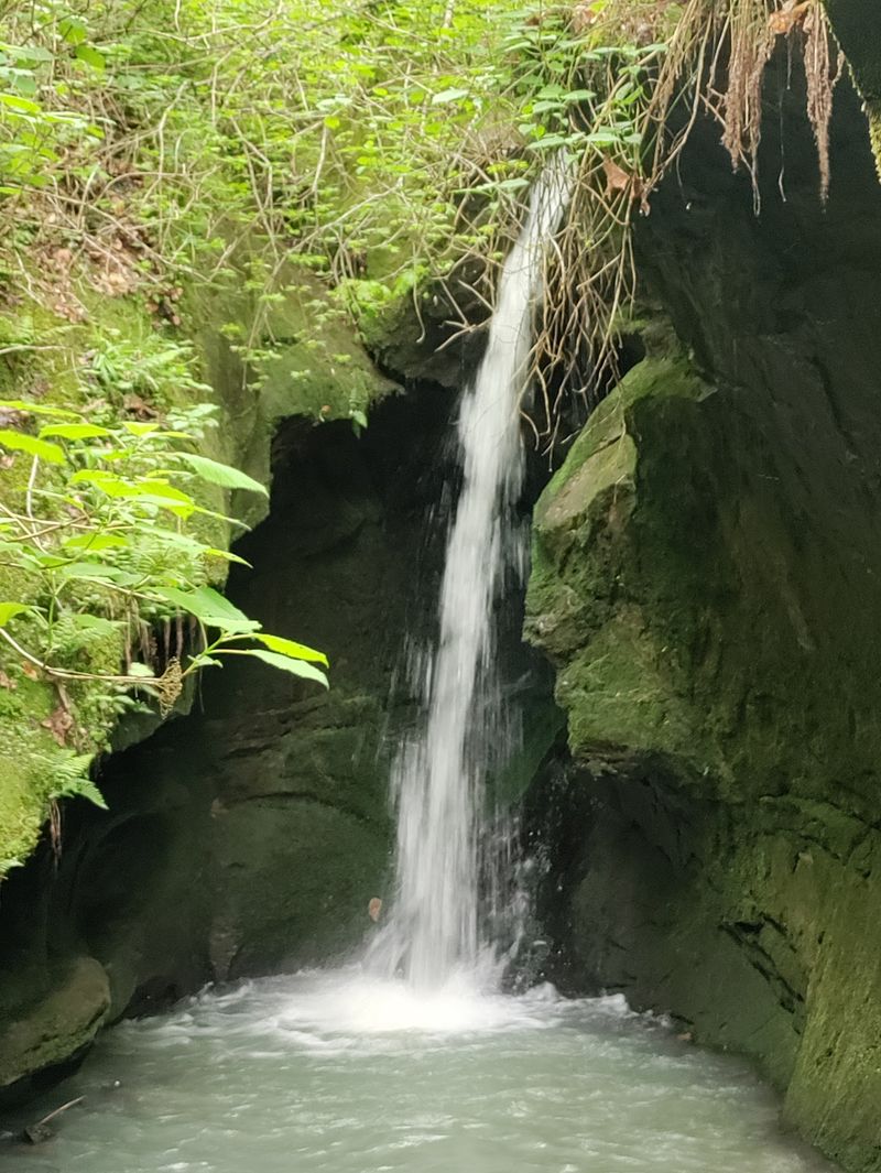 Bonus Points Wait Above The Main Falls Bonus Points Wait Above The Main Falls