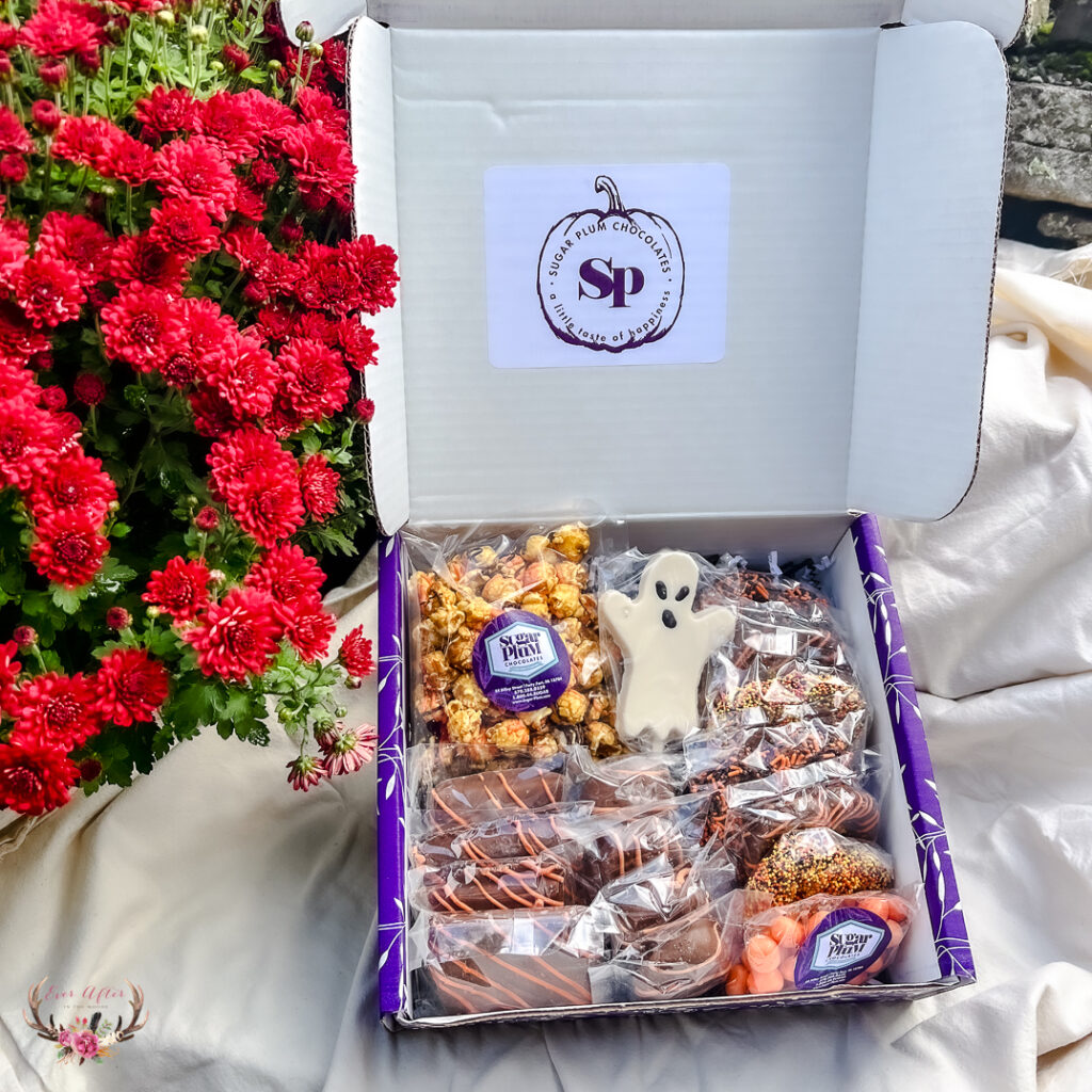 sugar plum boo box review