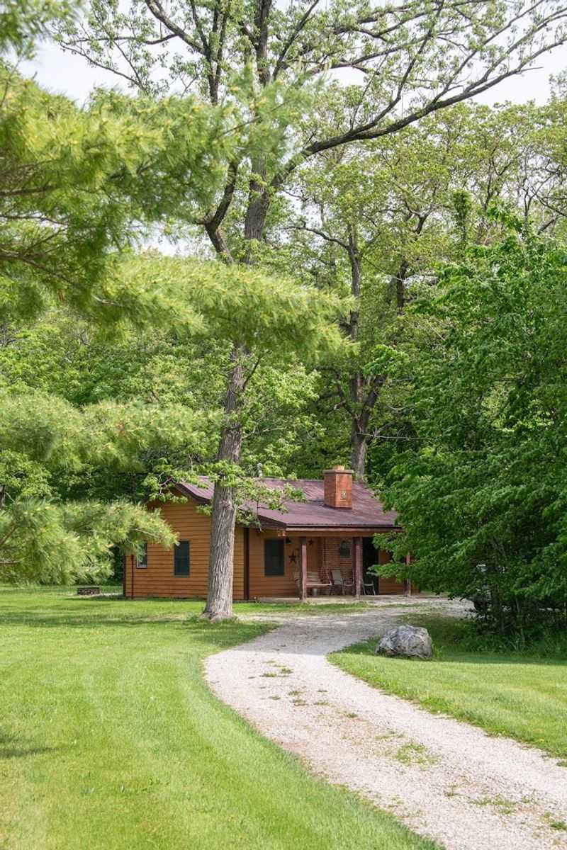 Forested Escape Above The Vermilion River