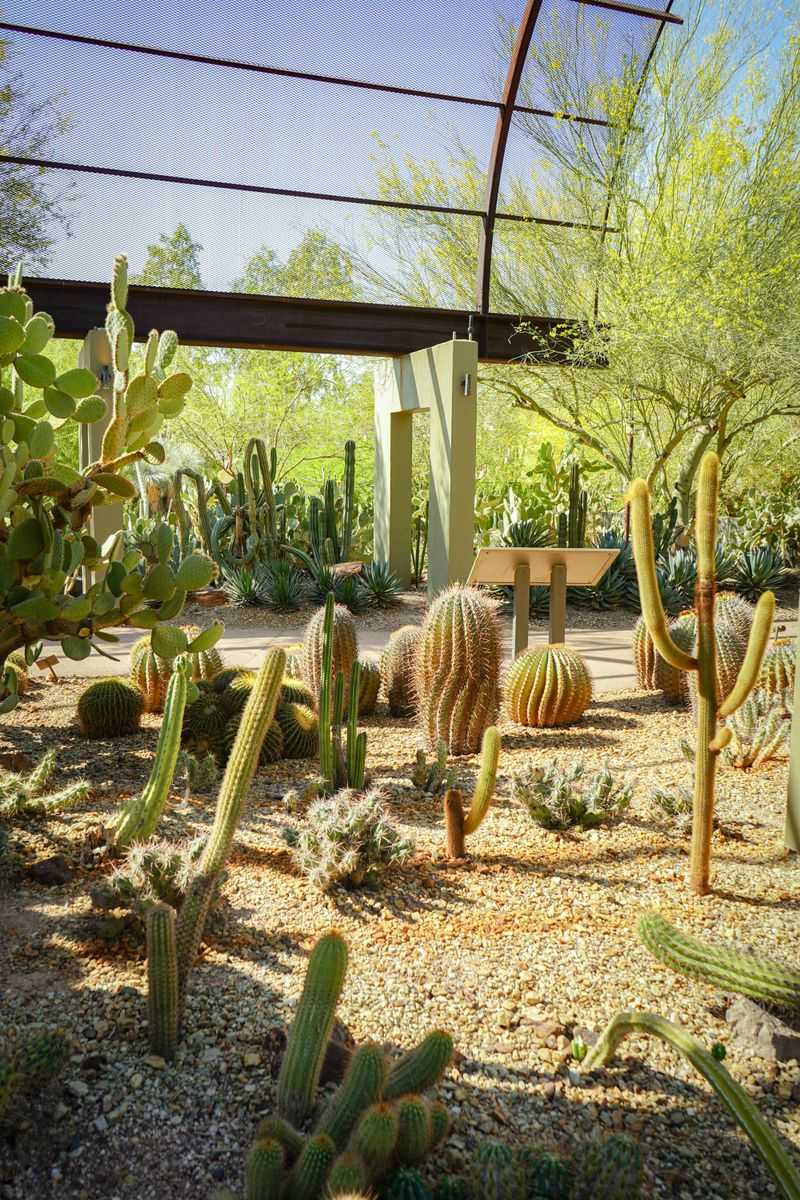 Wander The Desert Botanical Garden