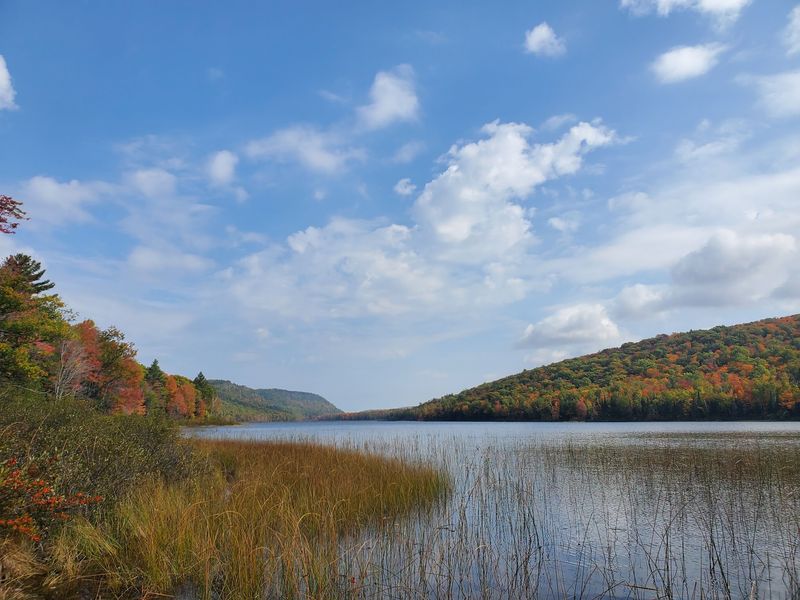 Book Camping As Soon As You Can