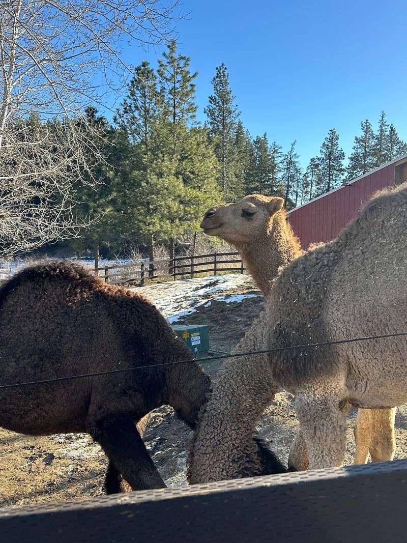 Book Early And Plan For A Morning Visit