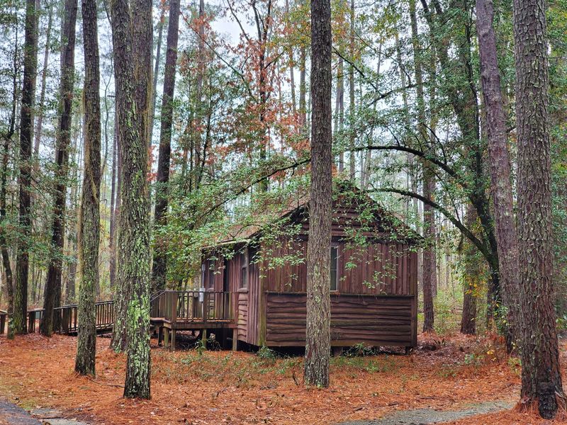 Book The Canebrake Cabin For A Lakeside Retreat