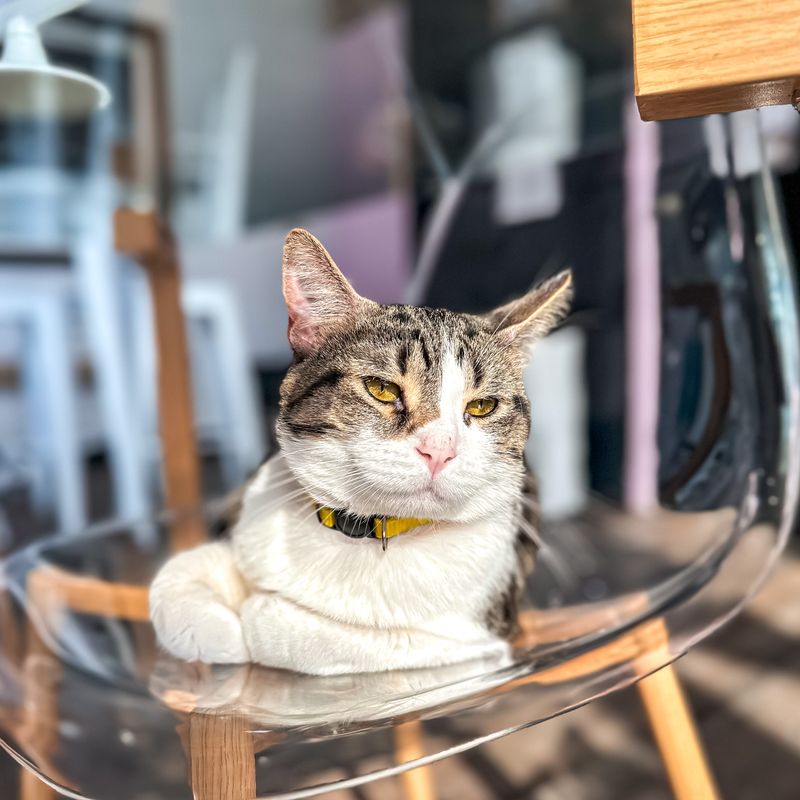 Mind The Flow Of The Small Lounge