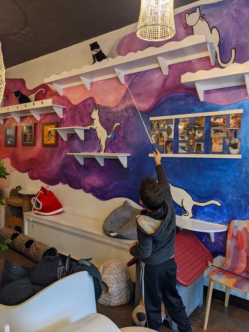 Mind The Admission Fee And Mission