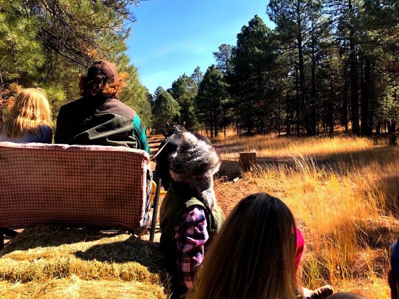 Alternative Activities When Sleighing Isn't Available