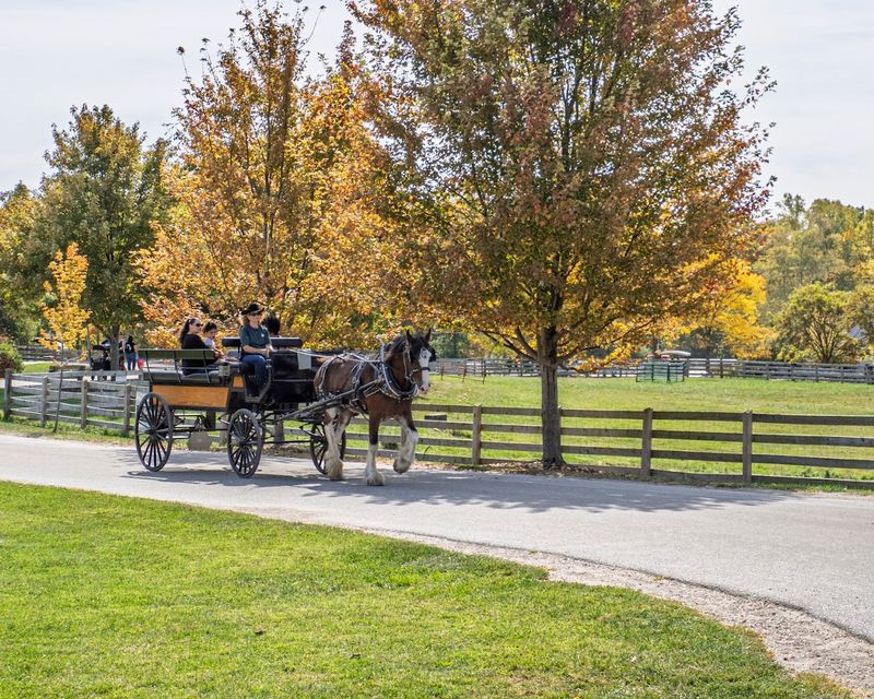 Lake Metroparks Farmpark, Kirtland, Ohio
