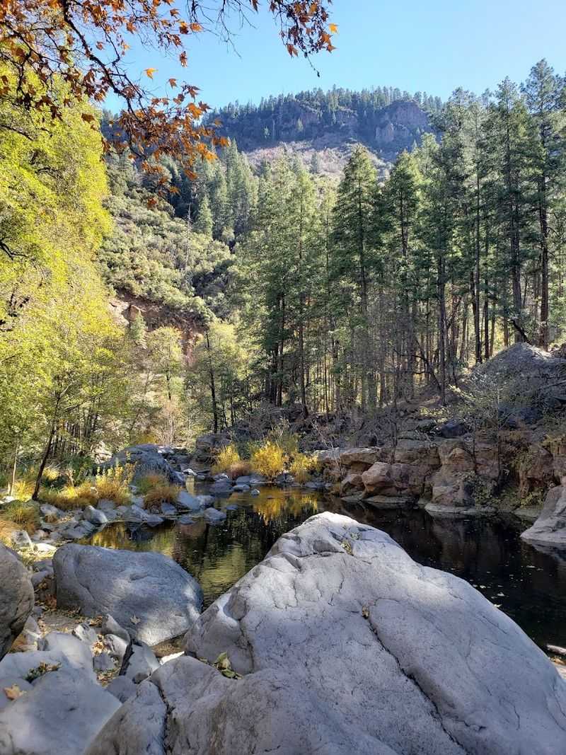 Bootlegger Picnic Area