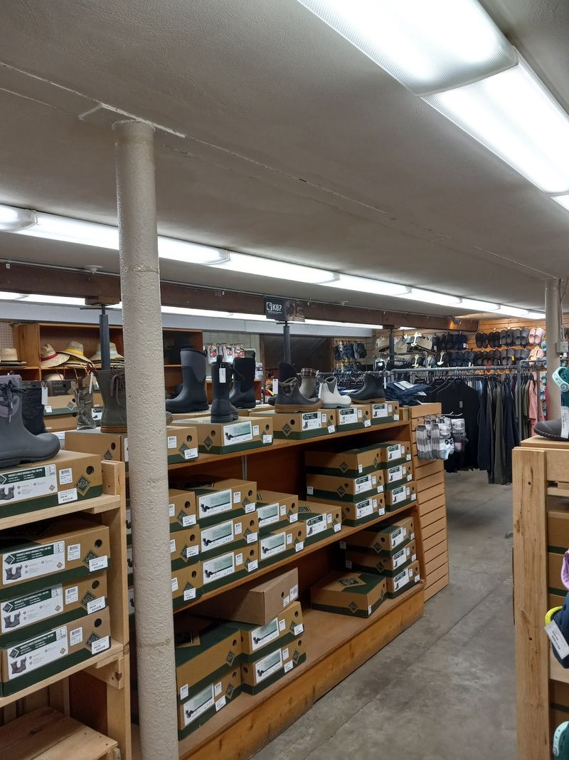 Boots, Shoes, And A Surprise Shoe Department Boots, Shoes, And A Surprise Shoe Department