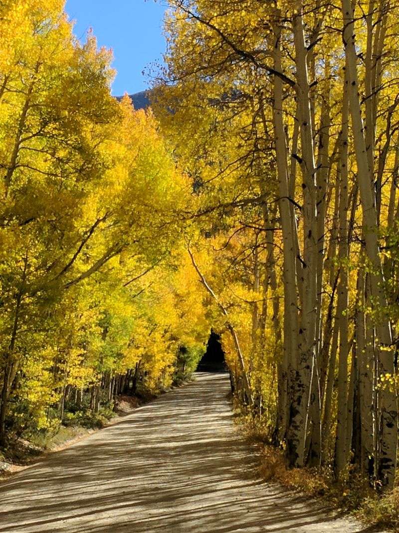 Boreas Pass Boreas Pass