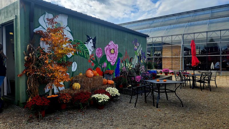 Bloom Cafe At Quality Gardens, Valencia