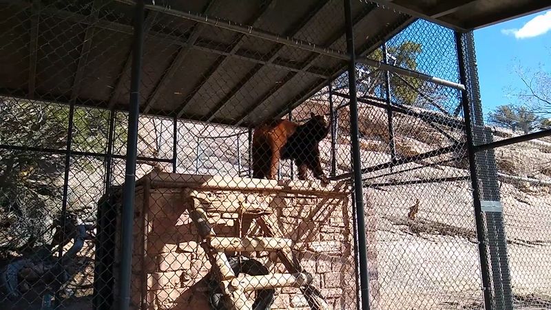 Botanical Gardens That Bring Navajo Plant Knowledge to Life Botanical Gardens That Bring Navajo Plant Knowledge to Life