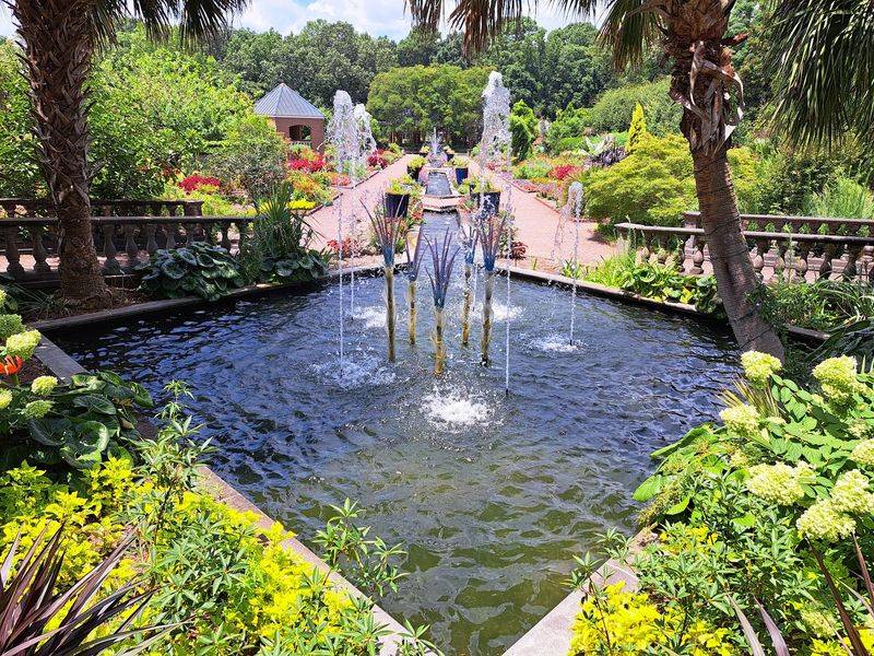 Botanical Gardens That Look Like A Wedding Photo Backdrop