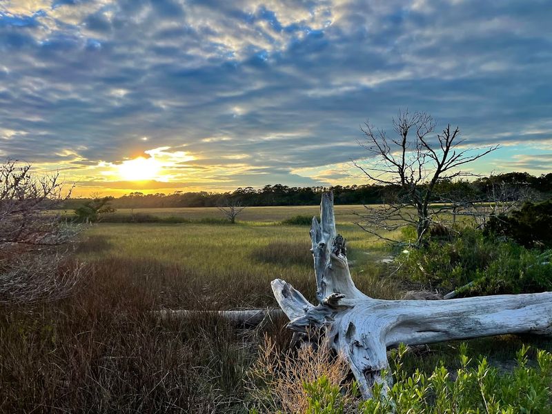 Botany Bay Heritage Preserve