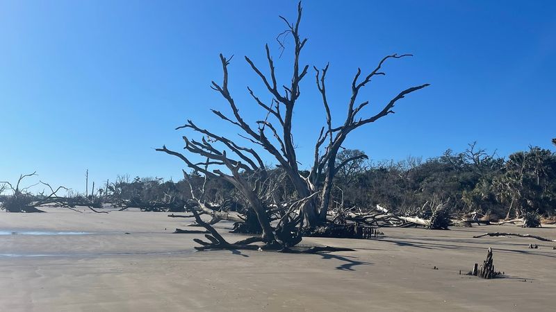 Botany Bay Road, Edisto Island
