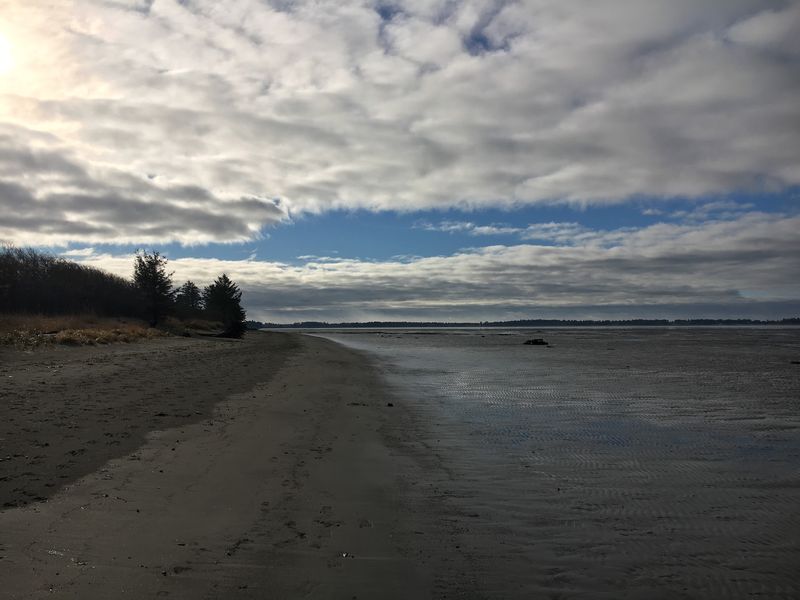 Bottle Beach State Park, Aberdeen